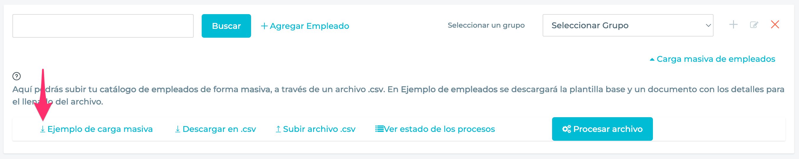 Enlace para descargar el archivo csv de plantilla.